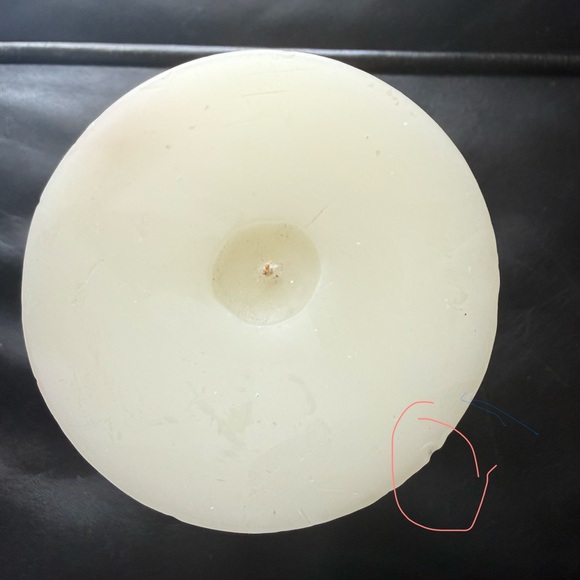 Pier 1 Imports First Bloom Candle Featuring A Botanical Design Premier Bourgeon - Picture 5 of 10